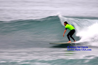 1 DSC_8113A