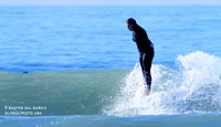 1 SAL_8656_peDoc