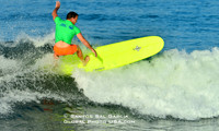 1 SAL_8427B