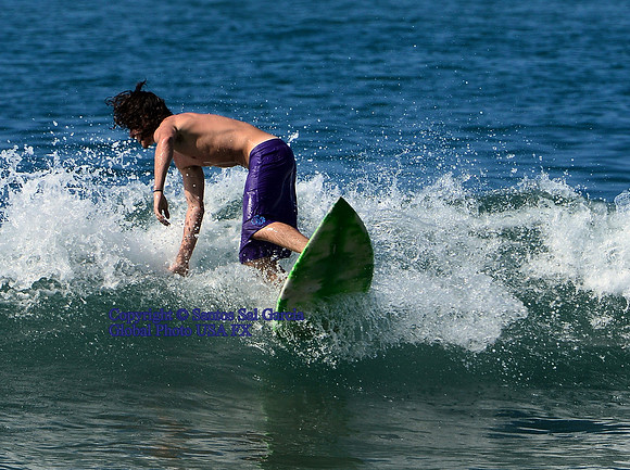 1 DSC_2953