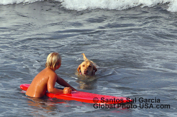 © 2013 Santos Sal Garcia  Global Photo USA.com