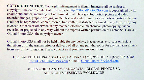 1 DSCN1974_1456BESTPHOTO