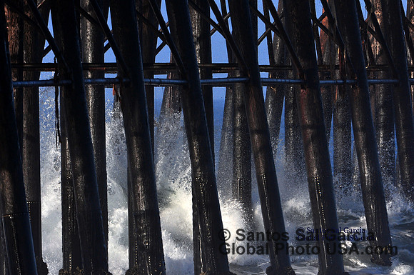 1 DSC_2328