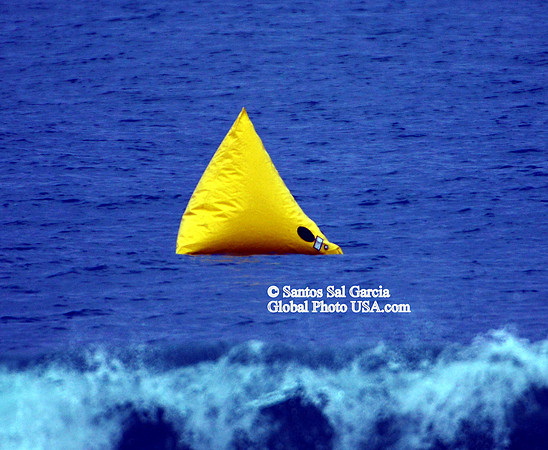 1 DSC_2681A