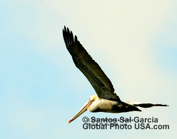 1 DSC_6255